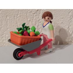 Agricultrice Brouette Et Cagette De Légumes Playmobil